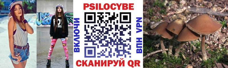 Галлюциногенные грибы MAGIC MUSHROOMS  Купить закладки  Полевской 